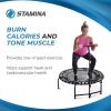 imageFitness Trampoline  Indoor Mini Rebounder Trampoline for Adults  Professionals Choice Safe ampamp Stable44Black
