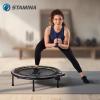 imageStamina Folding Trampoline with Smart Workout App Black  Portable Fitness Rebounder for Home Gym Cardio ampamp Strength Training Jumping Exercise Equipment36Black
