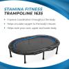 imageStamina Folding Trampoline with Smart Workout App Black  Portable Fitness Rebounder for Home Gym Cardio ampamp Strength Training Jumping Exercise Equipment45BlackBlue