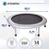 imageStamina Folding Trampoline with Smart Workout App Black  Portable Fitness Rebounder for Home Gym Cardio ampamp Strength Training Jumping Exercise Equipment36Silver